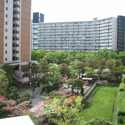 2006三口之家